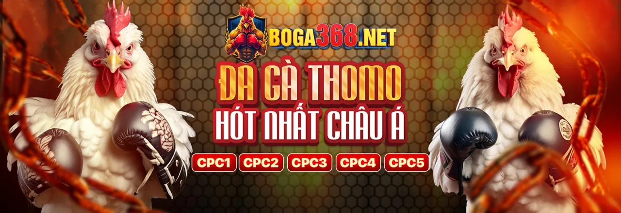 Phòng chống gian lận